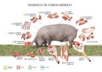 Cerdo Iberico